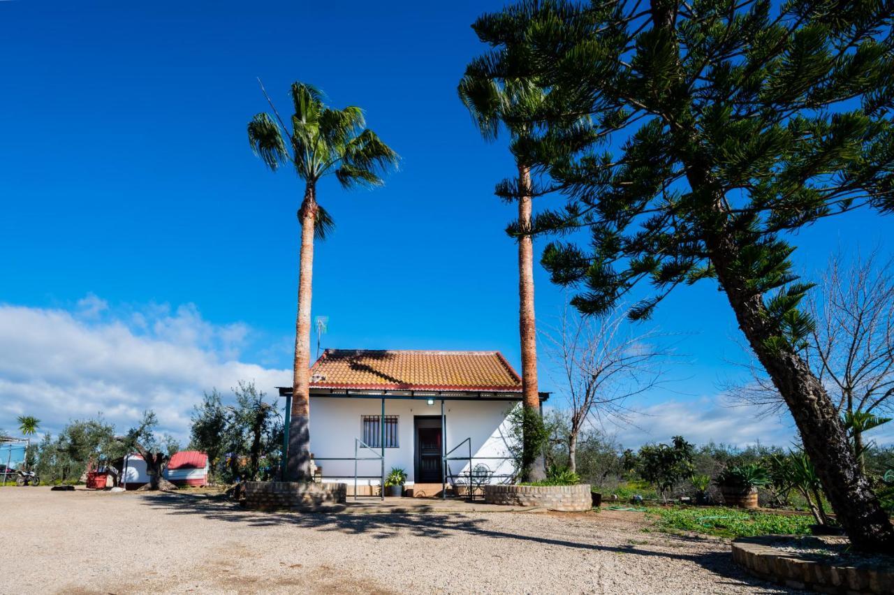 El Paraiso Del Olivar Bollullos de la Mitación Exteriör bild