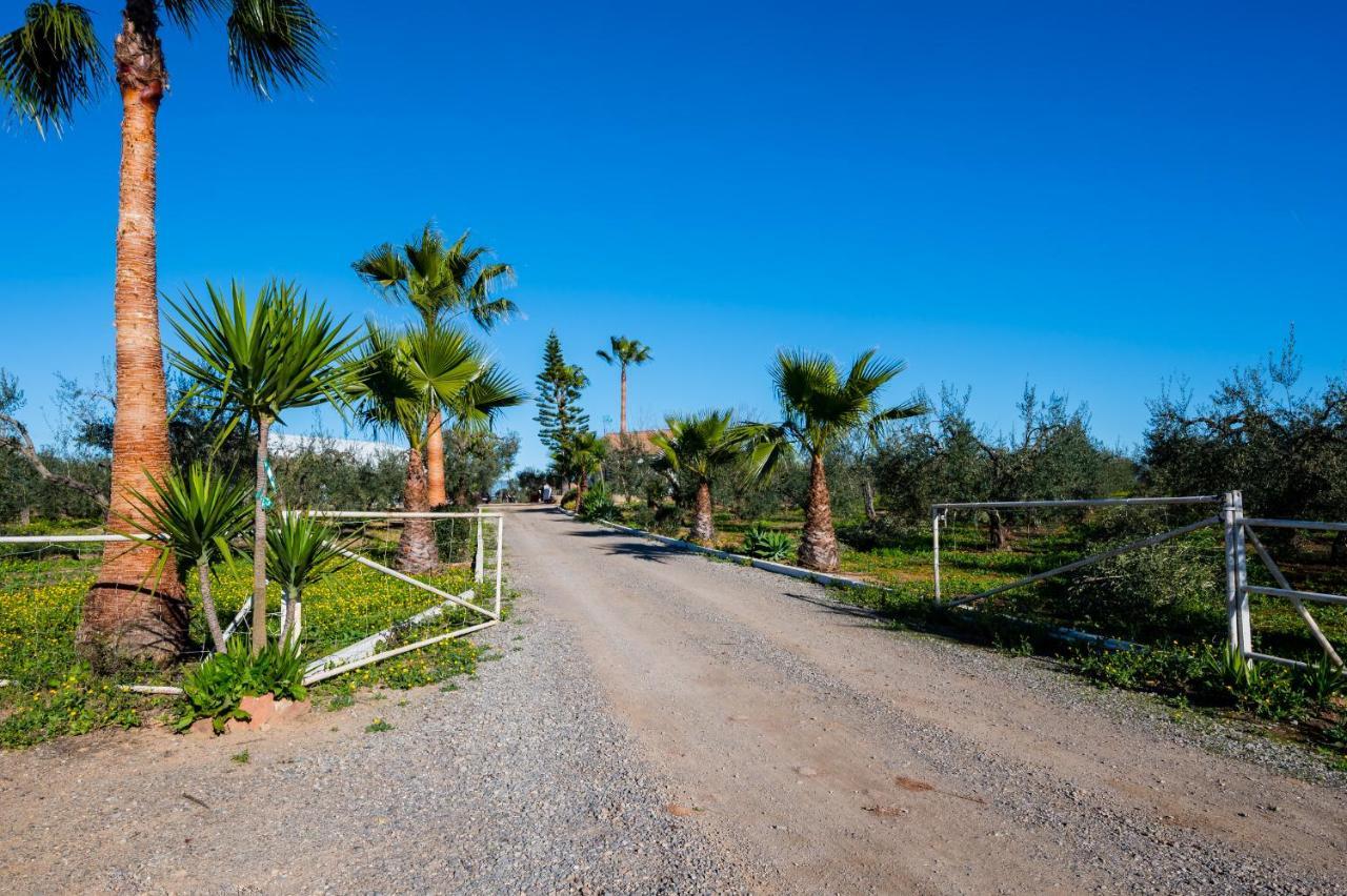 El Paraiso Del Olivar Bollullos de la Mitación Exteriör bild