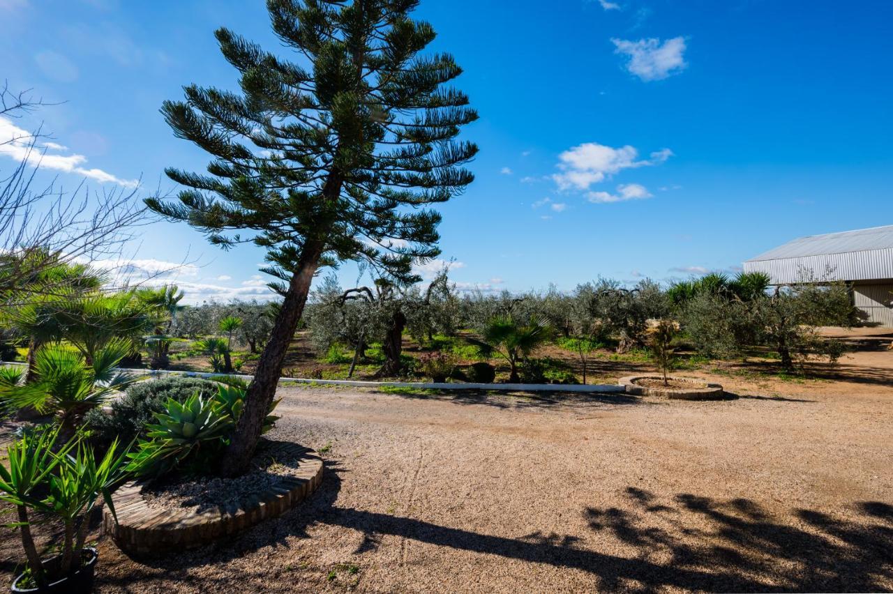 El Paraiso Del Olivar Bollullos de la Mitación Exteriör bild