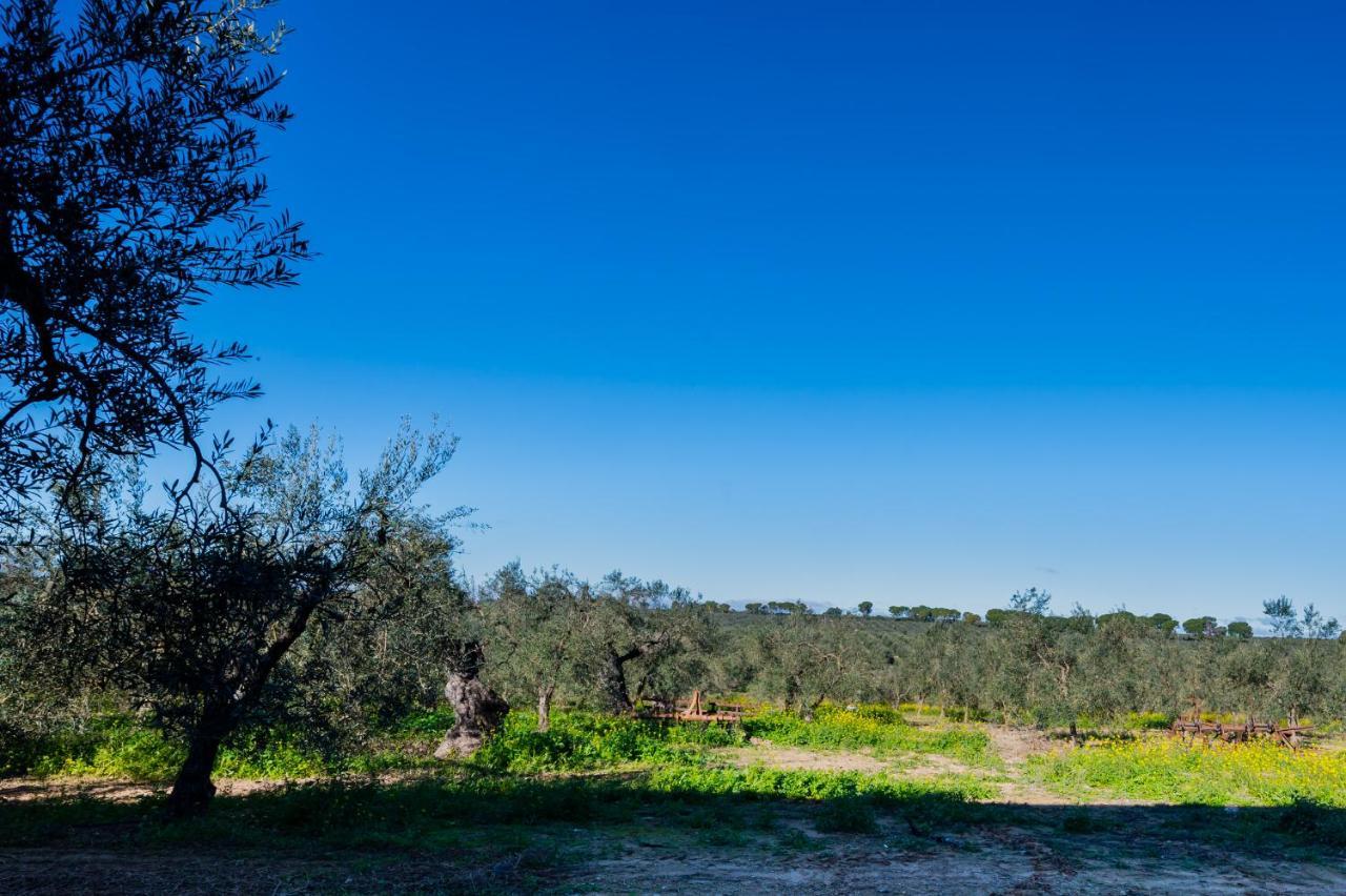 El Paraiso Del Olivar Bollullos de la Mitación Exteriör bild